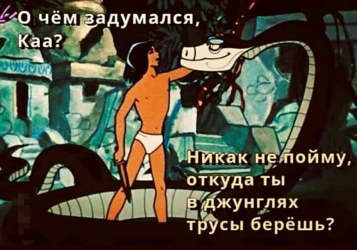 о чеіддумался 7 ___ ТК а И іі ЁЁ оиму г _ 4 откуда ты Джунглях трУсы берёшь