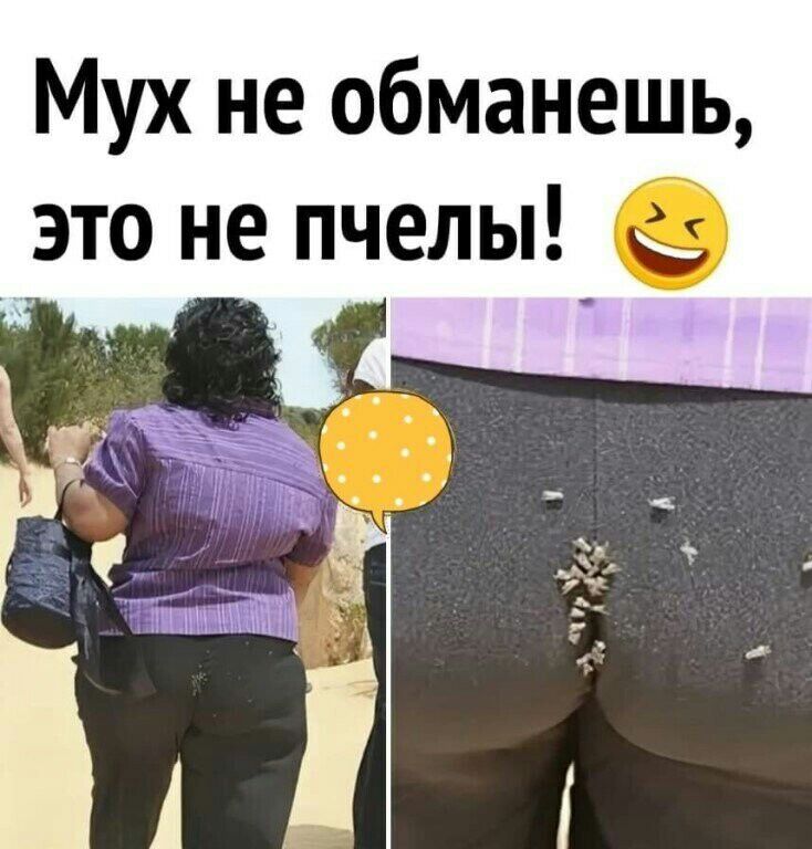 Мух не обманешь это не пчелы