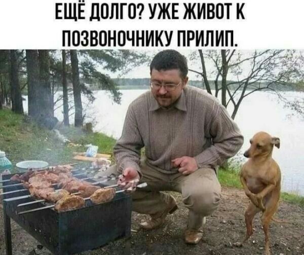 ЕЩЕ ЛПЛГП УЖЕ ЖИВОТ К ПОЗВ ОЧНИКУ ПРИЧИН