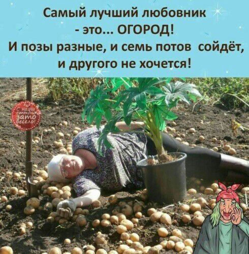 Самый лучший любовник это ОГОРОД И позы разные и семь потов сойд
