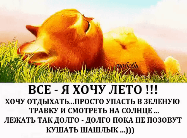 ВСЕ Я ХОЧУЕЛЕТО ХОЧУ 0ТДЫХАТЬПР0СТ0 УПАСТЬ В ЗЕЛЕНУЮ ТРАВКУ И СМОТРЕТЬ НА СОЛНЦЕ ЛЕЖАТЬ ТАК ДОЛГО ДОЛГО ПОКА НЕ ПОЗОВУТ КУШАТЬ ШАШЛЫК НР