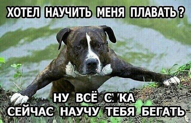 НАУЧИТЬ ШШШ ПЛАВАТЬЭ