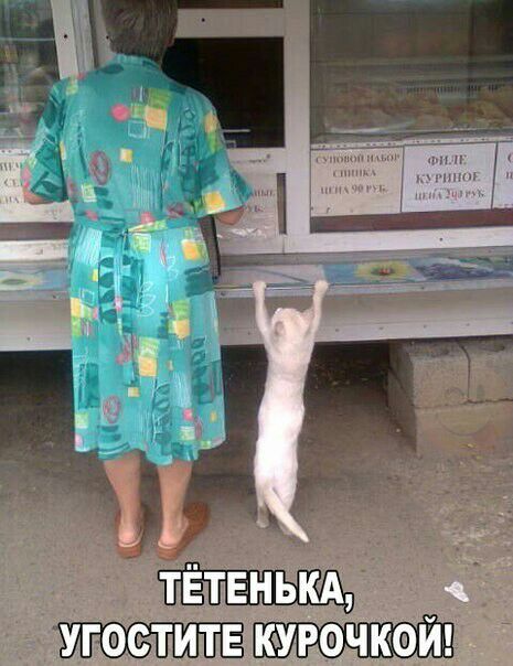 _ _ УГФСТИ Ё УРФЧКФЙ