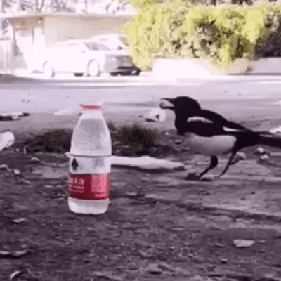 Лоч