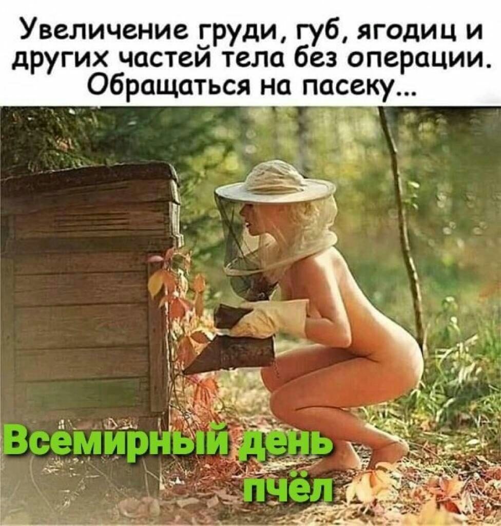 Увеличение груди губ ягодиц и других частеи тела без операции Обращаться на пасеку