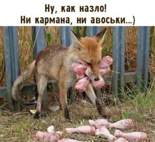 Ну как назло