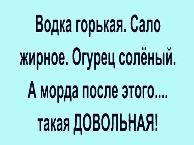 Водка горькая Сало жирное Огурец солёный А морда после этого такая ДОВОЛЬНАЯ