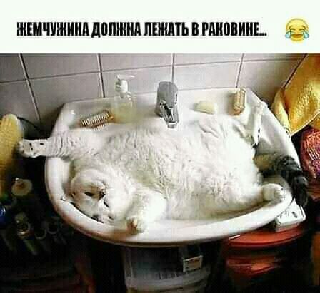 ЖЕМЧУШИИЛДППШМ ПЕЖМЬ РАШШИИЕ