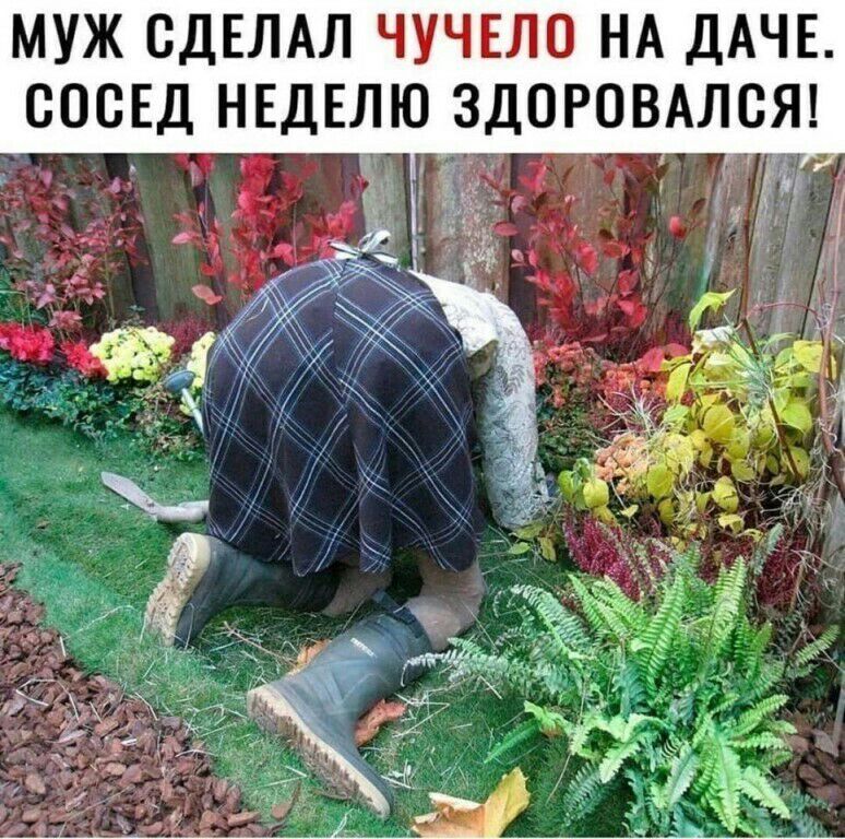 МУЖ СДЕЛАЛ ЧУЧЕЛО НА ДАЧЕ СОСЕД НЕДЕЛЮ ЗДОРОВАЛСЯ в УЁ дл _ 4 п _ _ _ т 4 т _ с