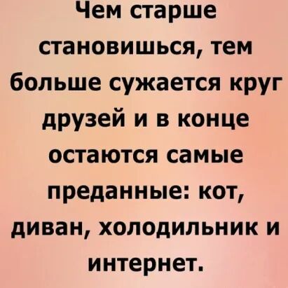 Чем старше становишься тем больше сужается круг друзей и в конце остаются самые преданные кот диван холодильник и интернет