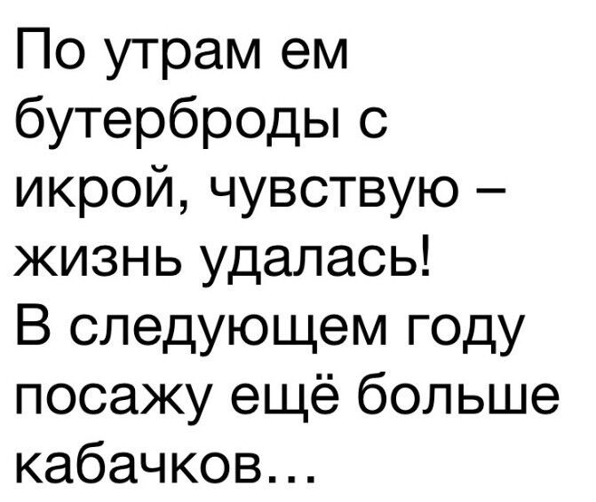 По утрам ем бутерброды с икрой чувствую жизнь удалась В следующем году посажу ещё больше кабачков