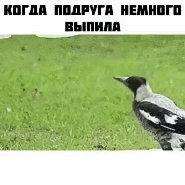 Когда подруга немного выпила