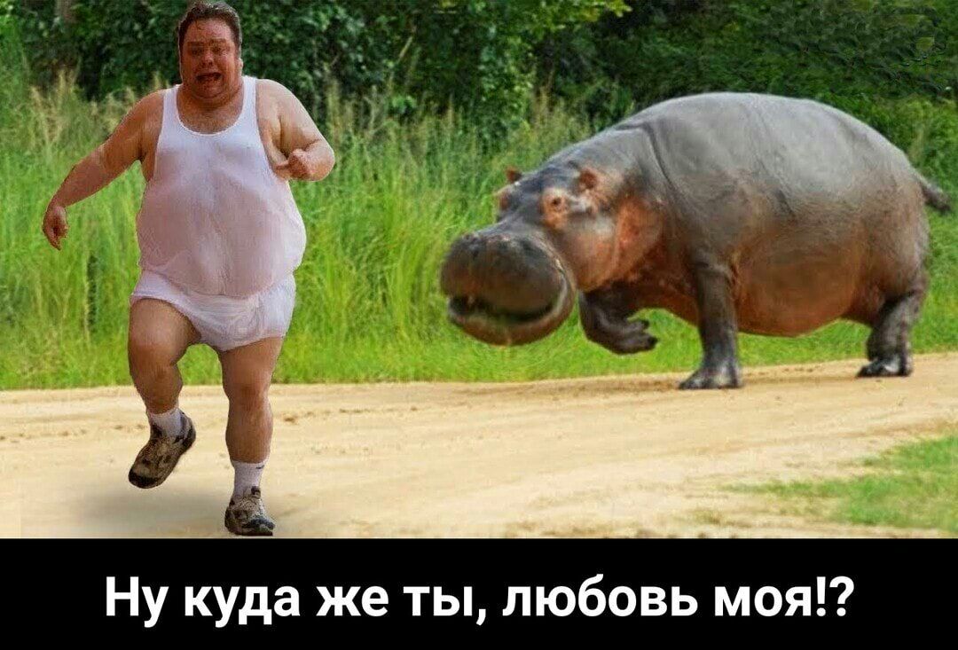 Ну куда же ты любовь моя