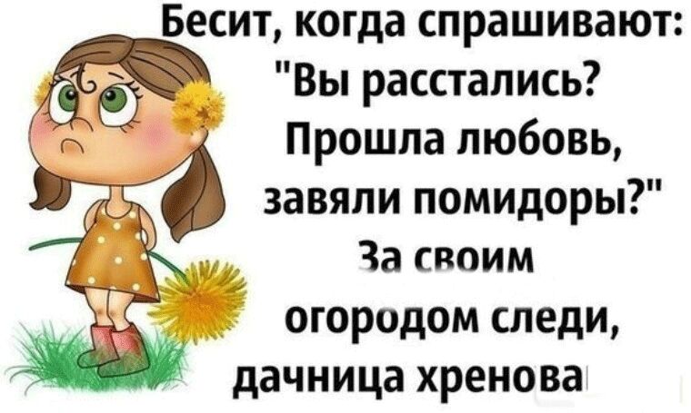Бесит когда спрашивают Вы расстались Прошла любовь завяли помидоры За своим огородом следи дачница хренова