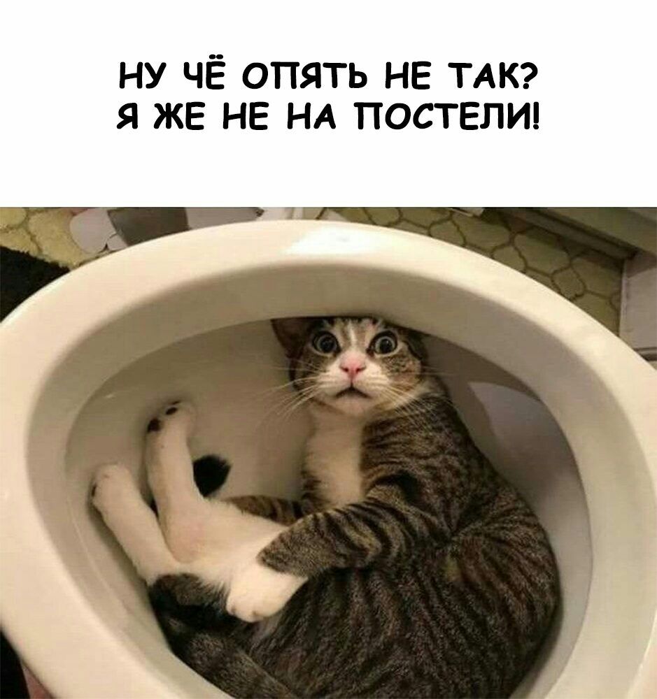 ну ЧЁ опять НЕ ТАК я же НЕ НА постели