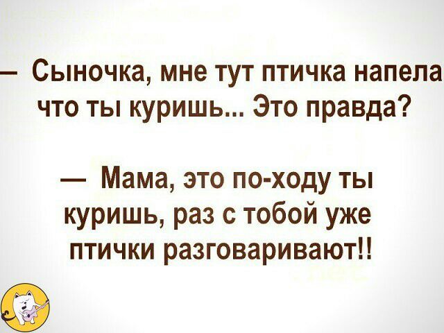Сыночка мне тут птичка напепа что ты куришь Это правда Мама это по ходу ты куришь раз с тобой уже птички разговариваютН