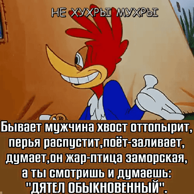 ё _ ТЗ _ 3 т ЩЭ_ Пшпшшшшлцшшс ШППЕШ пвыкнпвинныш