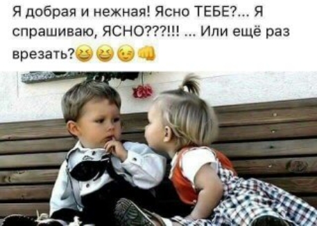 Я добрая и нежная Ясно ТЕБЕ Я спрашиваю ЯСНО Или ещё раз врезать