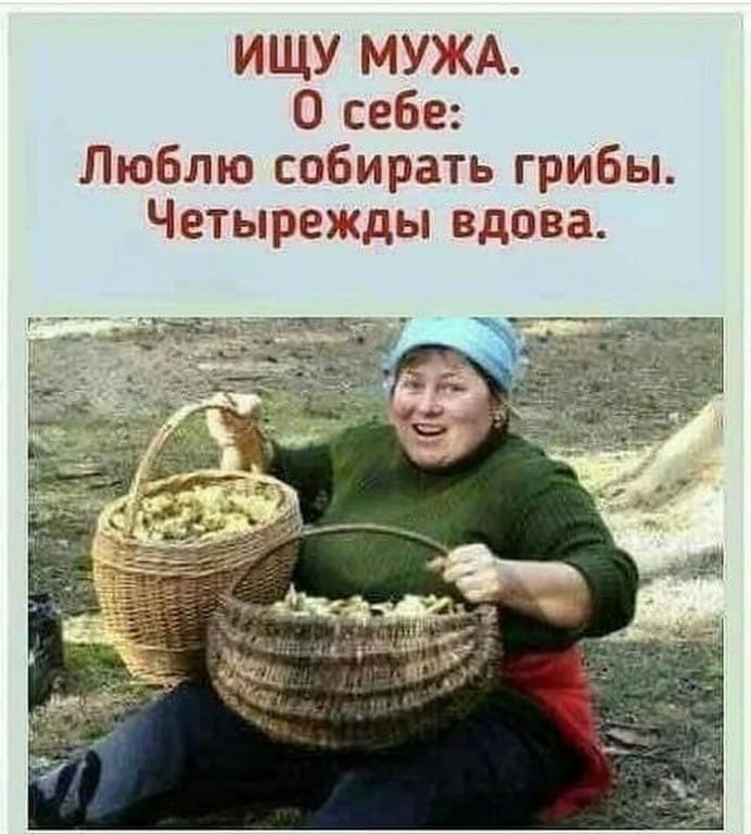 ИЩУ МУЖА О себе Люблю собирать грибы Четырежды вдова