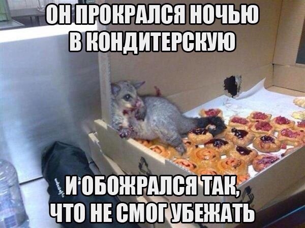 ЁЪіпііонгдпен ночью в нондитъгеную Т И ВБВЖРАЛБЯЩНЁ ЧШ НЕ ВМПЩШЕШАТЬ