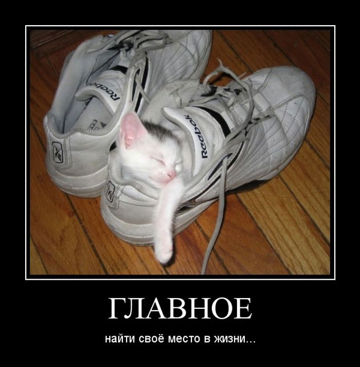 ГЛАВНОЕ НЕЙТИ СВОЁ МЕСТО В ЖИЗНИ