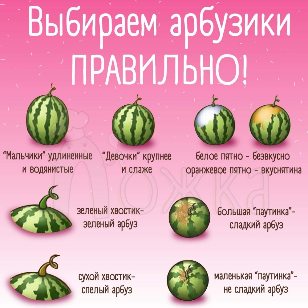 Мальчики удлиненные Девочки крупнее белое пятно Безвкусно и водянистые и слаже оранжевое пятно вкуснятина зеленый хвостик зеленый арбуз сухой хвостик маленькая Паутинка большая паутинка сладкий арбуз спелый арбуз не сладкий арбуз