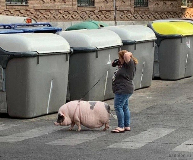 шумов