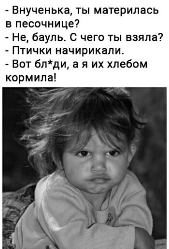 Внученька ты материлась в песочнице Не бауль С чего ты взяла ПТИЧКИ начирикапи Вот блди а я их хлебом кормила