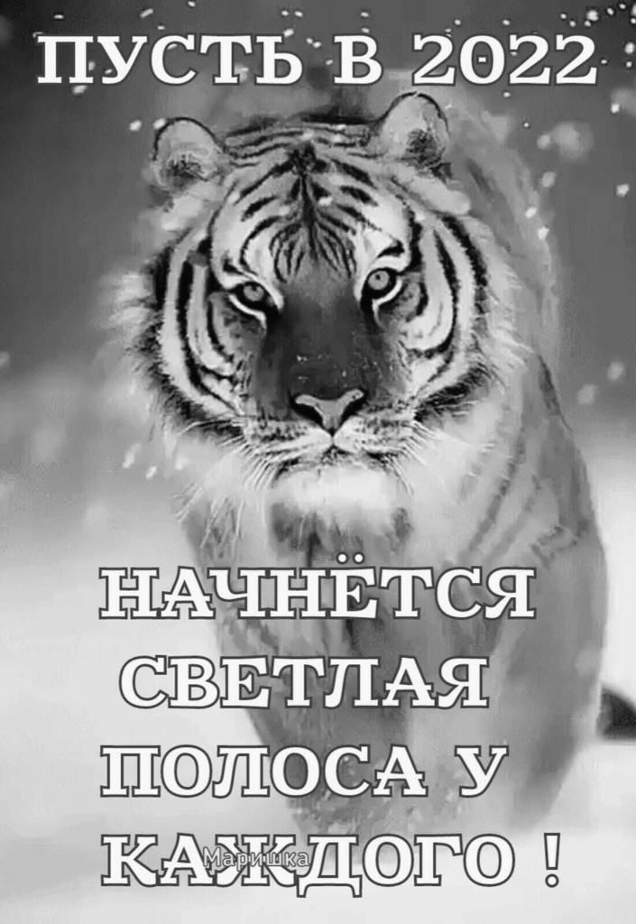 пусть В 20225