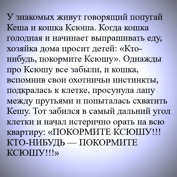 У знакомых живут говорящий попугай Кеша И кошка Ксюша Когда кошка голодная И начинает выпрашивать еду хозяйка Дома просит детей Кто нибудь покормите Ксюшу Однажды про Ксюшу все забыли и кошка вспомнив свои охотничьи инстинкты подкралась к клетке просунула лапу между прутьями и попыталась схватить Кешу Тот забился в самый дальний угол клетки и начал истерично орать на всю квартиру ПОКОРМИТЕ КСЮШУ К
