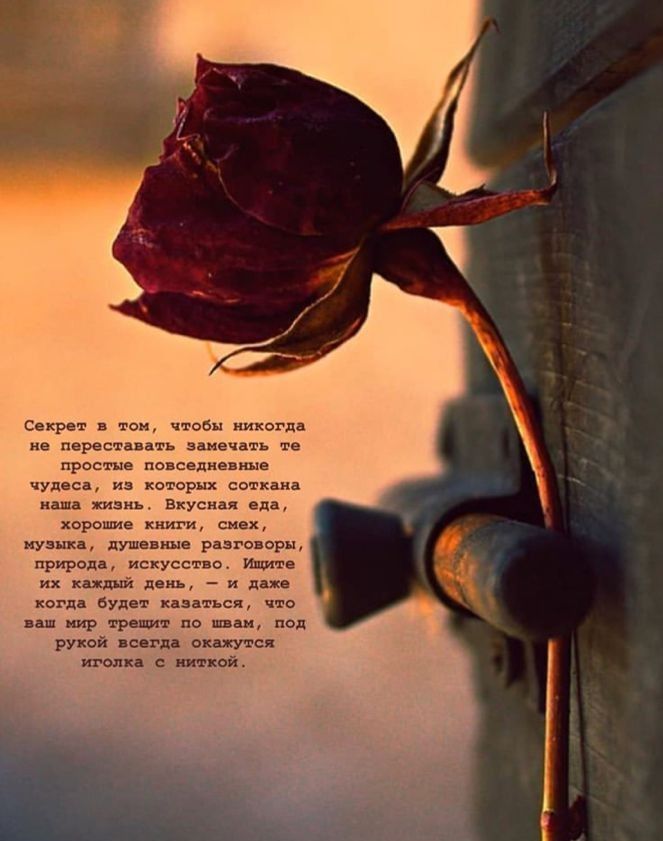 не вре а р и м _ и н пир гр тт и ру _ м с