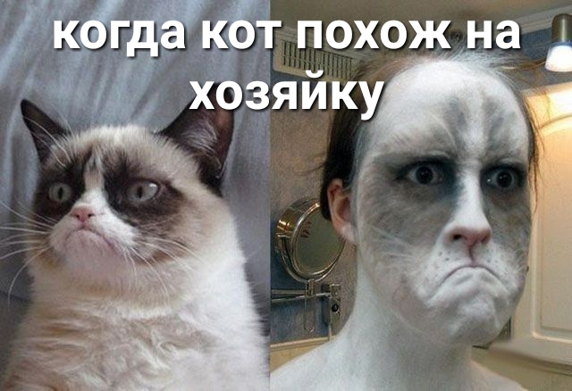 кёёёкбт похож на уд хозяйку