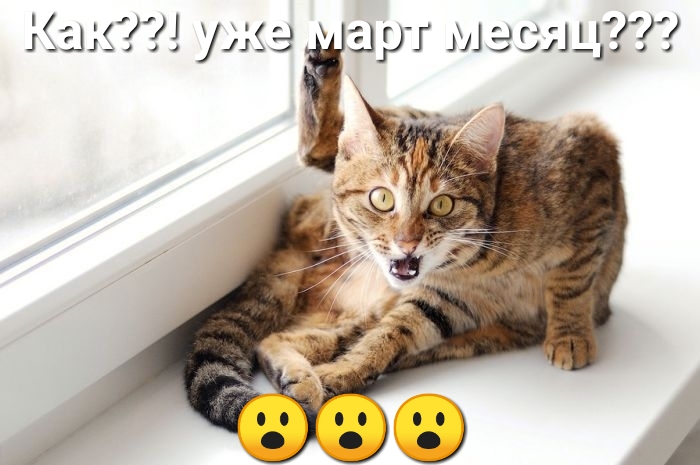 Как уже арт месяц