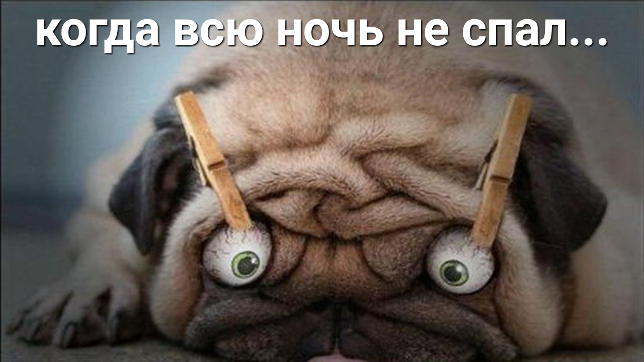 коггр всю Аг не спал
