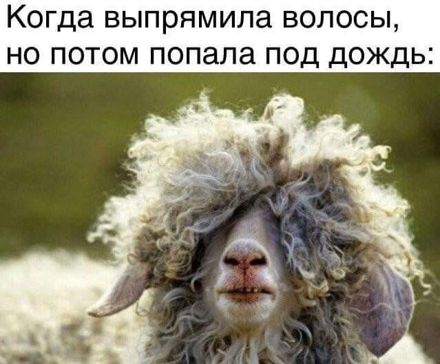 Когда выпрямила волосы но потом попала под дождь