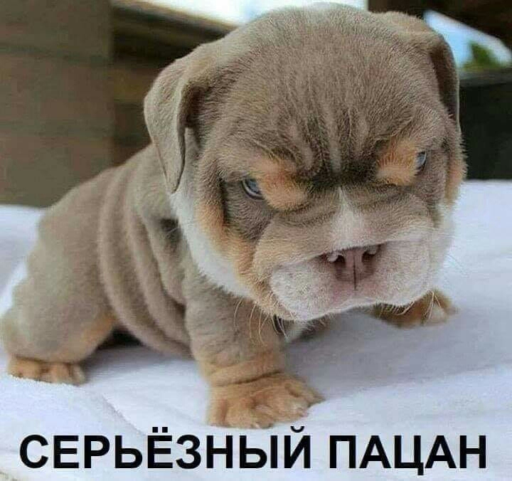 СЕРЬЁЗНЫИ ПАЦАН
