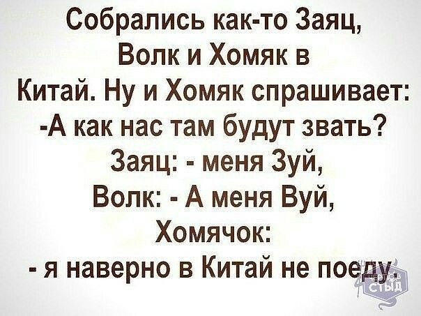 Собрались как то Заяц Волк и Хомяк в Китай Ну и Хомяк спрашивает А как нас там будут звать Заяц меня Зуй Волк А меня Вуй Хомячок я наверно в Китай не поедудд