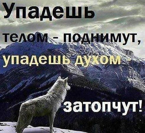 заТОПЧУТ
