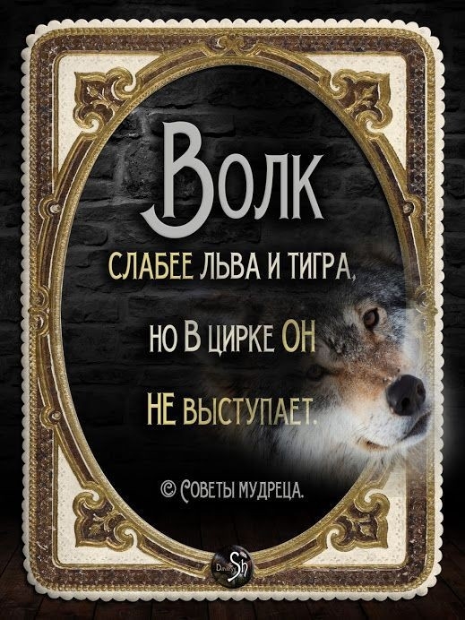 но В ЦИРКЕ ОН __ НЕ выступ