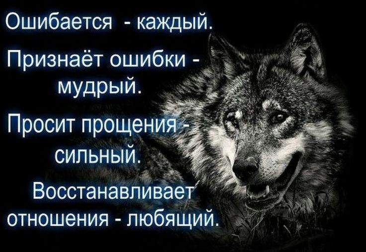 Ошибается каждый Признаёт ошибки мудрый Правит прщенді__ сипьныЙ Воестанавпивёет отношения любящим 7