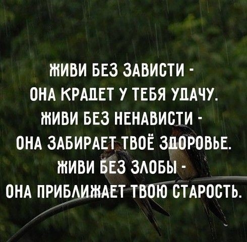 тиви ввз зАвисти пнд крдпвт у тввя упАчу живи вез нвндвисти онд ЗАБИРАЕТ твоё злоровьв тиви БЕз зювы _ пнд прирАишАЕт твоЮстАрость