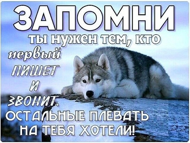 ЁЖЛШЖ темджю ЙЙШЕТ