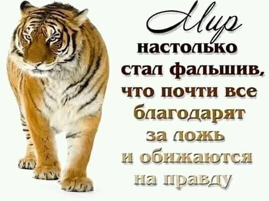 настолько стал фальшив что почти все благодарят за ложь и общшшсш мы нужд