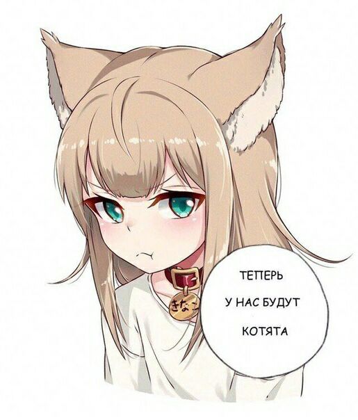 У НАС БУДУТ КОТЯТА