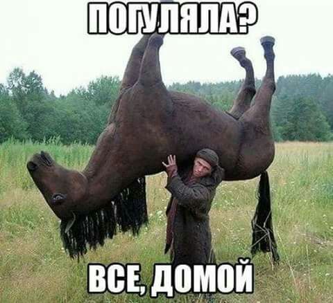 всьдомпп 3