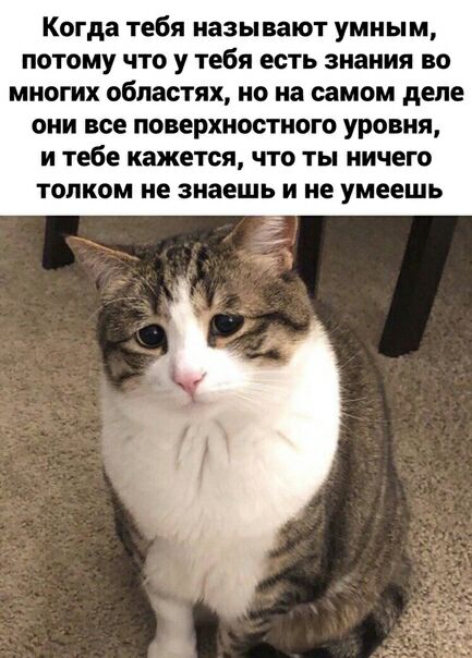 Когда тебя называют умным потому что у тебя есть знания во многих областях но на самом деле они все поверхностного уровня И тебе кажется ЧТО ТЫ НИЧЕГО толком не знаешь И не умеешь