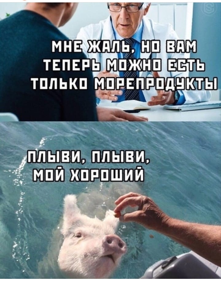 ппыви ппЫВИ ЁЁ пид