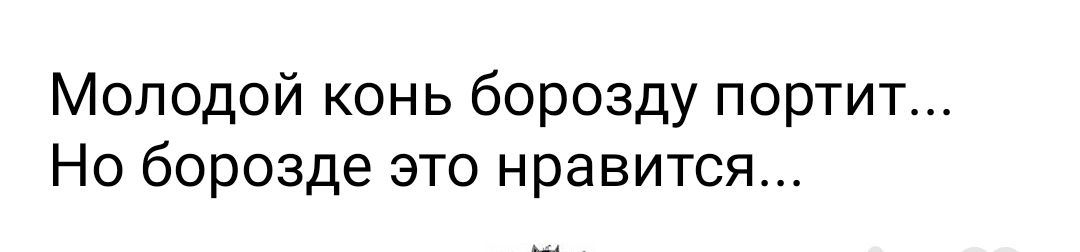 Молодой конь борозду портит Но борозде это нравится __