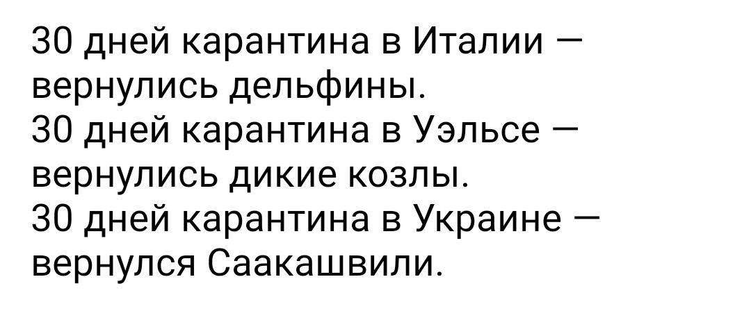 30 дней карантина в Италии вернулись дельфины 30 дней карантина в Уэльсе вернулись дикие козлы 30 дней карантина в Украине вернулся Саакашвили