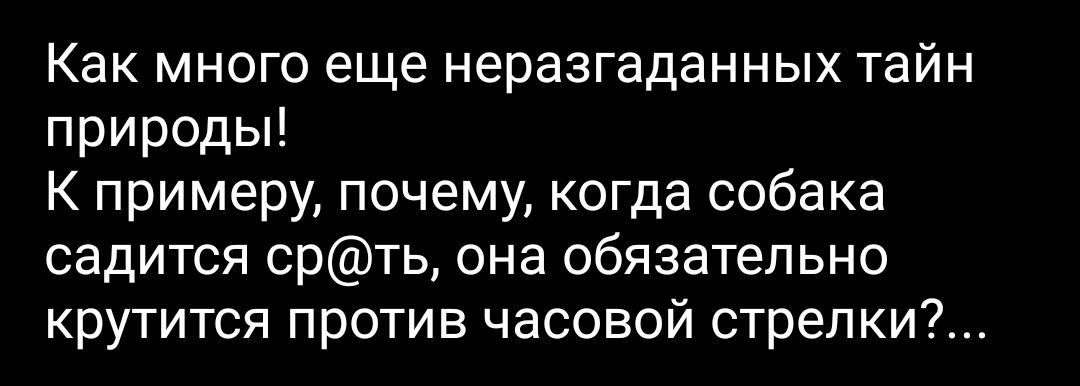 Как много еще неразгаданных тайн природы К примеру почему когда собака садится срть она обязательно крутится против часовой стрелки